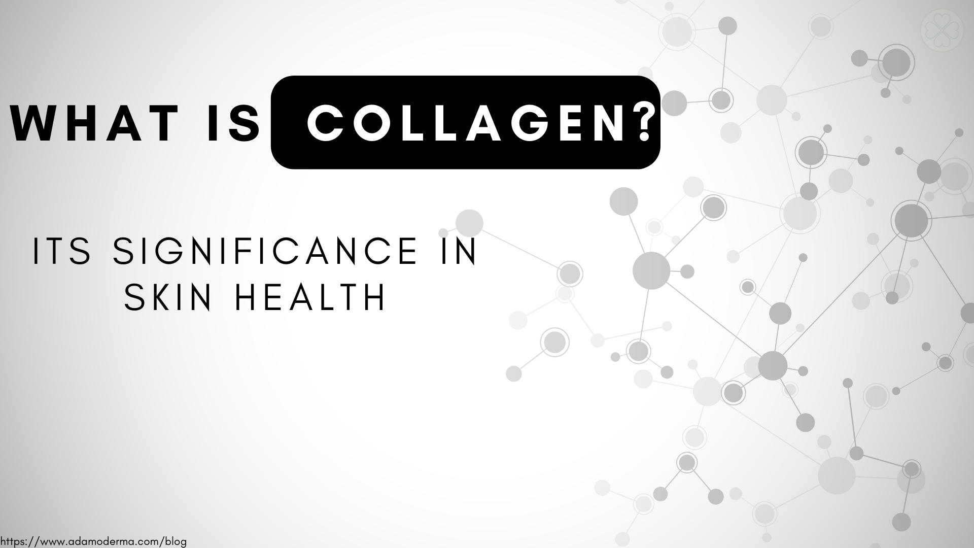 Why Collagen is Essential in Skin Health